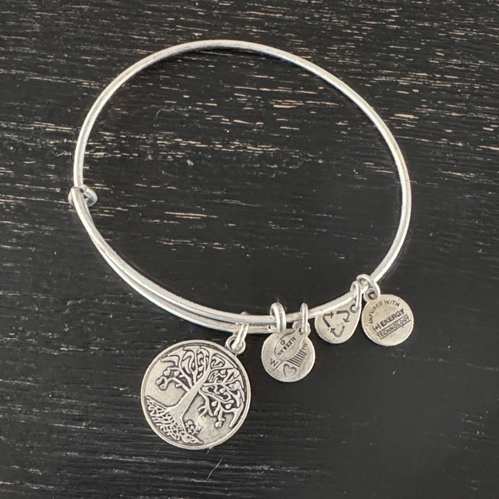 Alex and Ani Silver Tone Tree of Life Charm Bangle